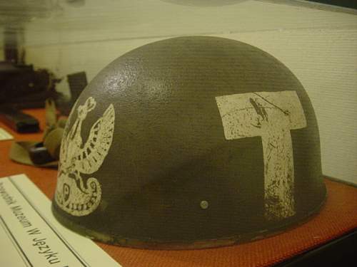 Polish Exile helmet Eagles