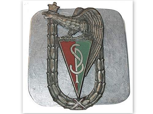 Polish Regimental Badges WW2