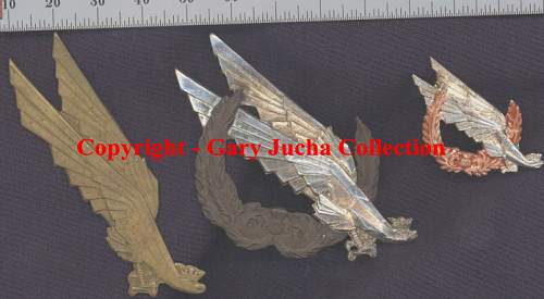 Polish Regimental Badges WW2