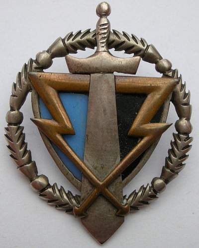 Polish Regimental Badges WW2