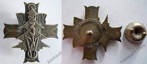 Polish Regimental Badges WW2