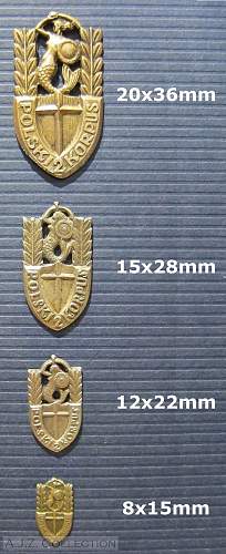 Polish Regimental Badges WW2