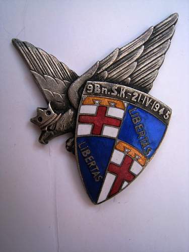 Polish Regimental Badges WW2