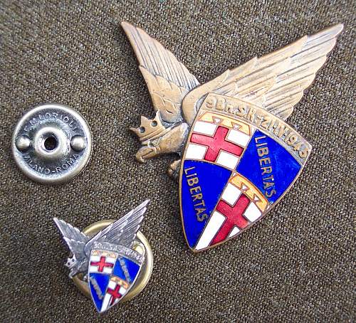 Polish Regimental Badges WW2