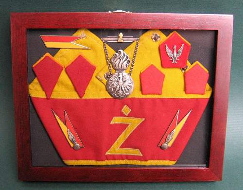 Polish Regimental Badges WW2