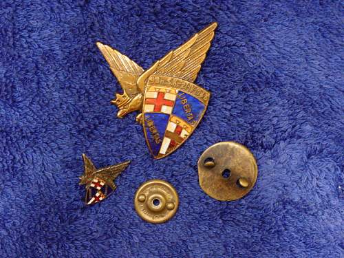 Polish Regimental Badges WW2