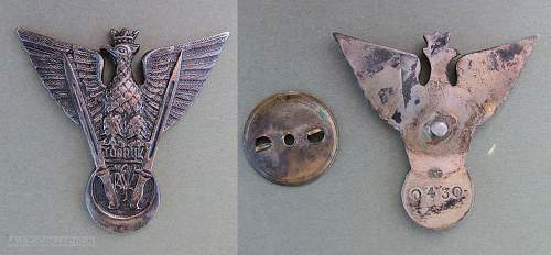 Tobruk badge