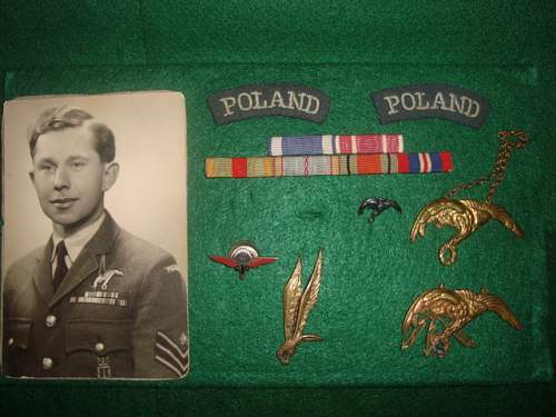 Polish Regimental Badges WW2