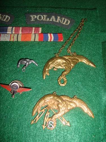 Polish Regimental Badges WW2