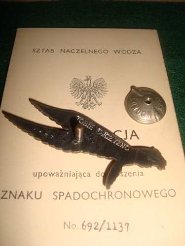 Polish Regimental Badges WW2