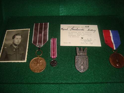 Polish Regimental Badges WW2