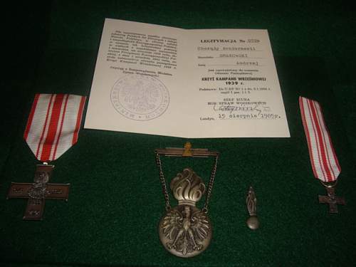 Polish Regimental Badges WW2