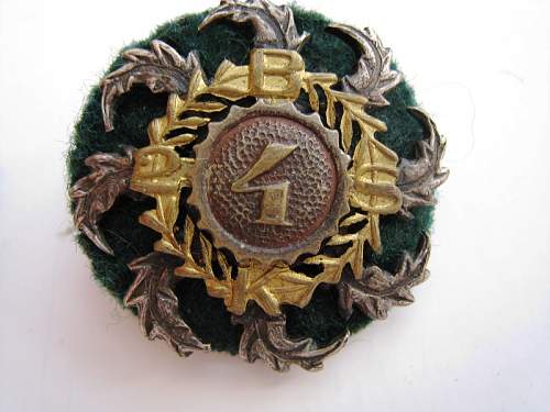 Polish Regimental Badges WW2