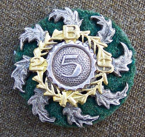 Polish Regimental Badges WW2