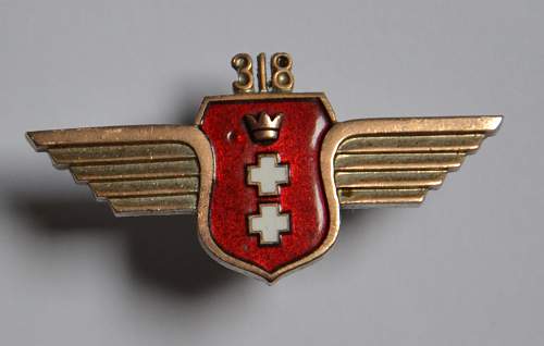 Polish AirForce Badges Gallery