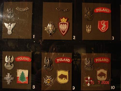 Polish Regimental Badges WW2