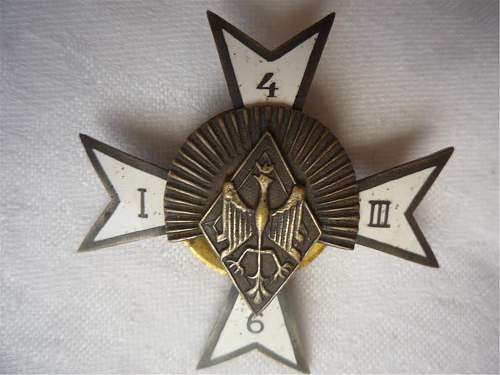 Polish Regimental Badges WW2