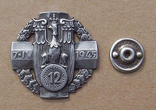 Polish Regimental Badges WW2