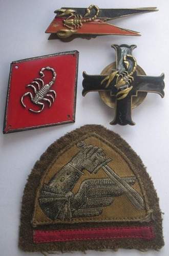 Polish Regimental Badges WW2