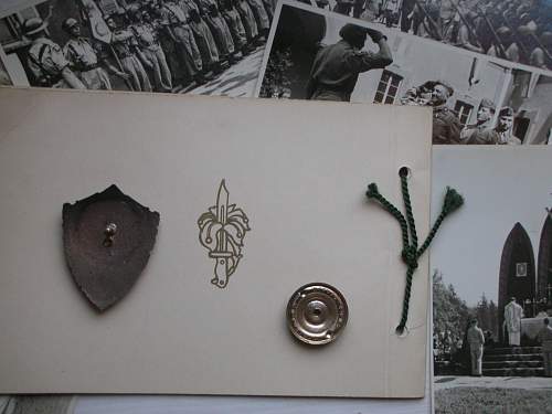 Polish Regimental Badges WW2