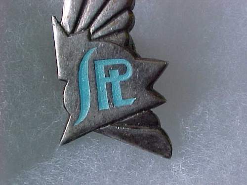 Polish Regimental Badges WW2