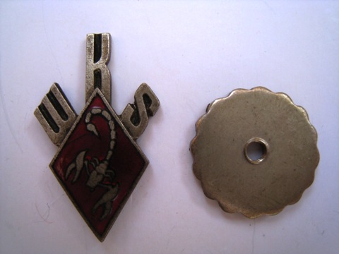 Polish Regimental Badges WW2