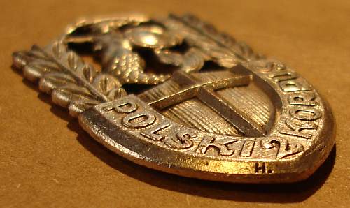 Polish Regimental Badges WW2