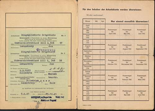 Polish Forced Labour (Zwangsarbeiter/Fremdarbeiter) collection