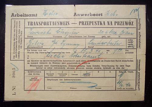 Polish Forced Labour (Zwangsarbeiter/Fremdarbeiter) collection