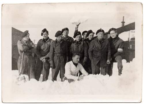 Polish Regimental Badges WW2