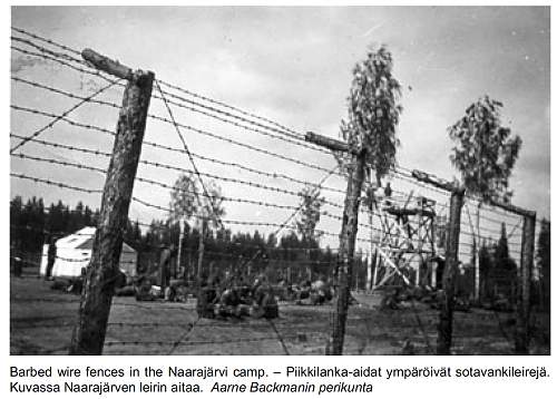 Polish Forced Labour (Zwangsarbeiter/Fremdarbeiter) collection