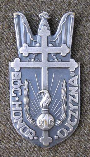 Polish Regimental Badges WW2