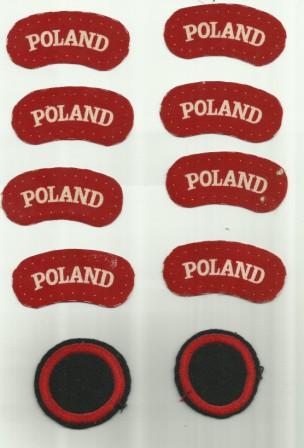 Help requested about Polish Para Antoni Paszkiewicz &amp; Showcase of his Badges
