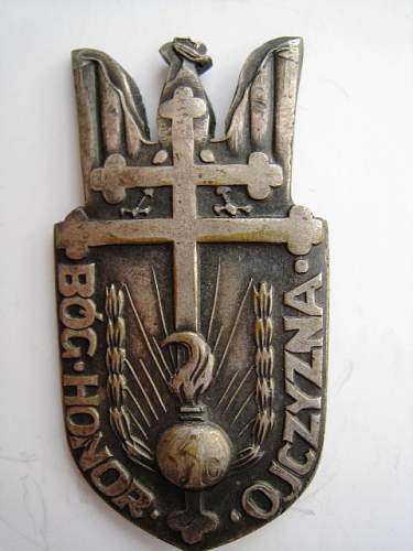 Polish Regimental Badges WW2