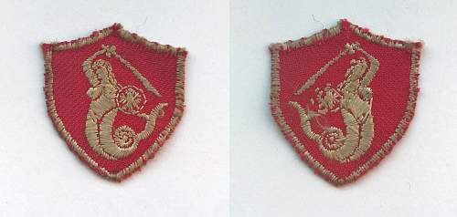 Uniform Unit Insignia of the Polish Army in Exile - 1939-45/7