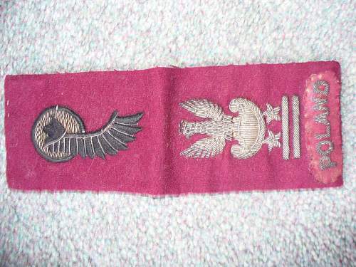 Polish cap insignia &amp; div sign