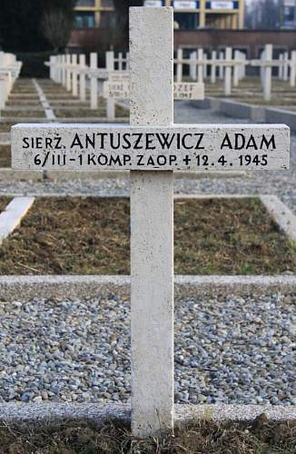 Monte Cassino cross