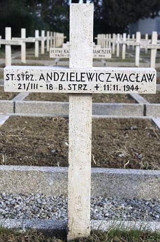 Monte Cassino cross