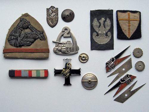 Polish Regimental Badges WW2