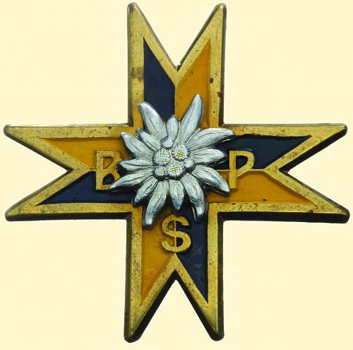 Polish Regimental Badges WW2