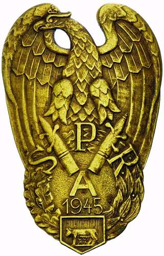 Polish Regimental Badges WW2