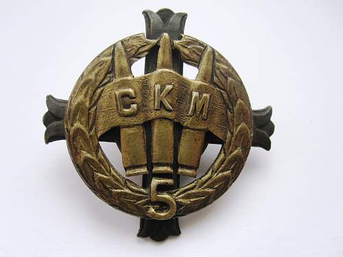 Polish Regimental Badges WW2