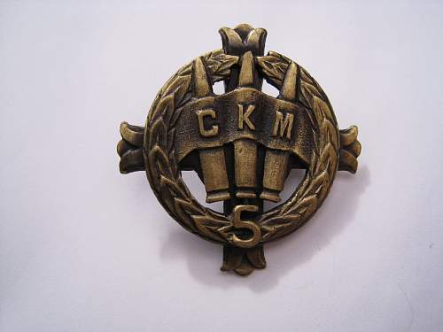 Polish Regimental Badges WW2