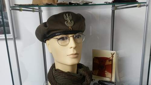 Lets see your Polish Militaria Display!