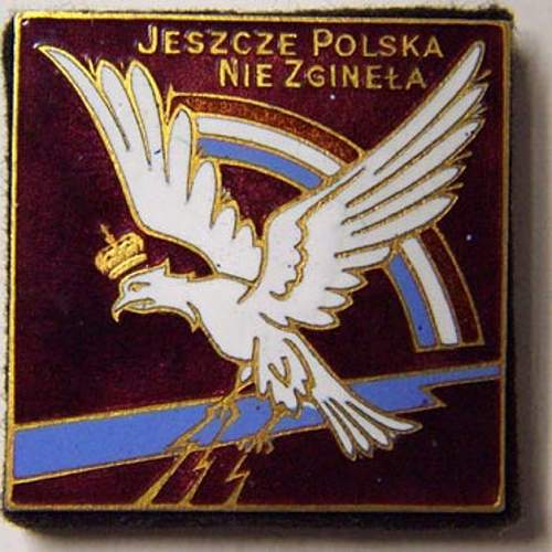 Polish Sqwadron Badge (Group de chasse I/145 Varsovie )