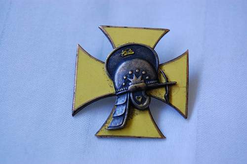 Polish Regimental Badges WW2