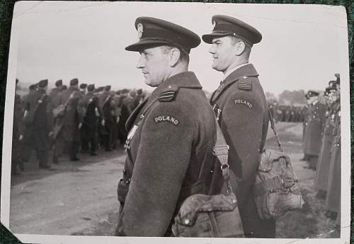 Lets see your Polish Militaria Display!