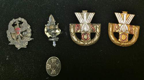 Polish Regimental Badges WW2