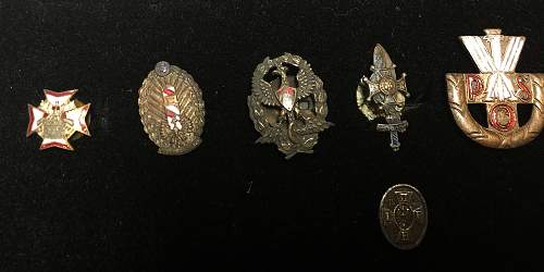 Polish Regimental Badges WW2