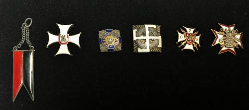 Polish Regimental Badges WW2